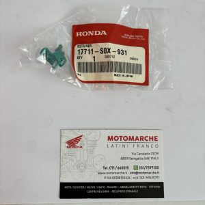 ritenitore (verde azzurro