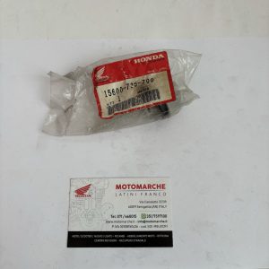 ass. tappo foro immiss