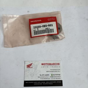 comp. sostegno, dente