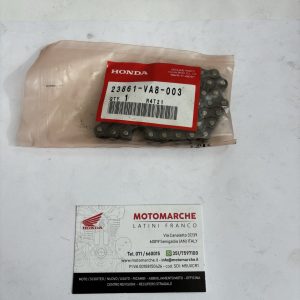 catena di trasmissione (3