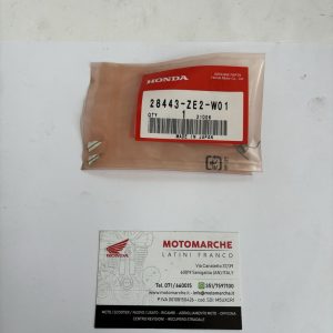 molla nottolino arresto