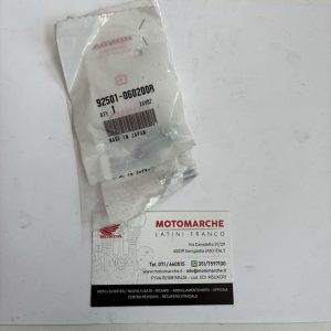 bullone cappello 6x20