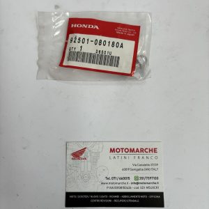 bullone cappello 8x18