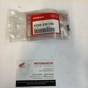 vite con testa a bottone