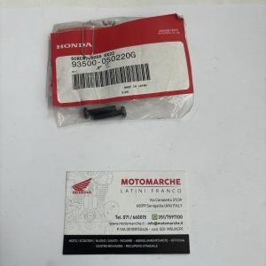 vite con testa a bottone