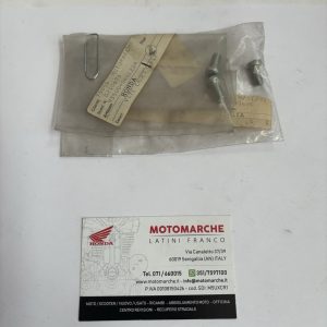 vite con testa a bottone