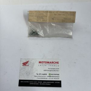 vite autofilettante 6x12