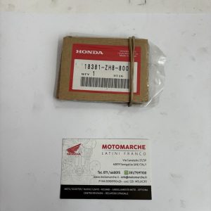 guarnizione marmitta