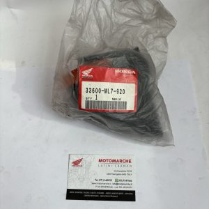 ass. indicatore di direzi