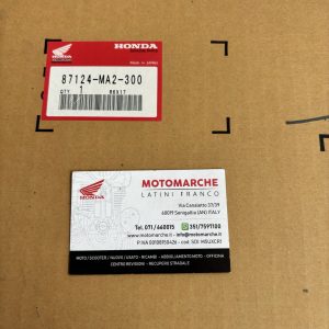 striscia parafango anteriore
