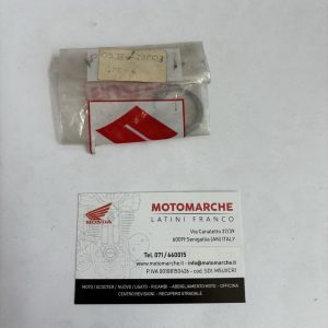 anello elastico