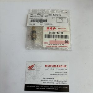 bulbo temperata acqua