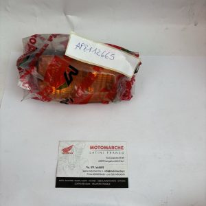 indicatore di direzione anteri