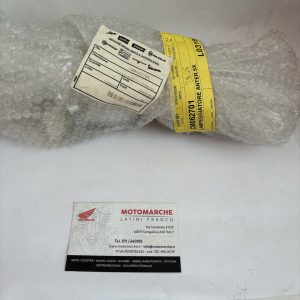 lampeggiatore anter.sx
