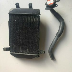 Radiatore Burgman Suzuki