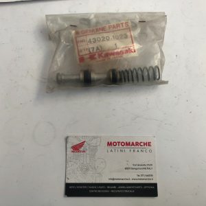 Piston Comp Brake - Kit Pompante Freno KZ1000 Kawasaki 430201023